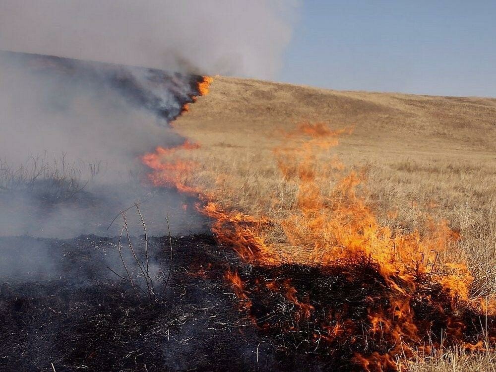 Администрация Отрадо-Ольгинского сельского поселения Гулькевичского района предупреждает о запрете сжигания сухой травы, стерни