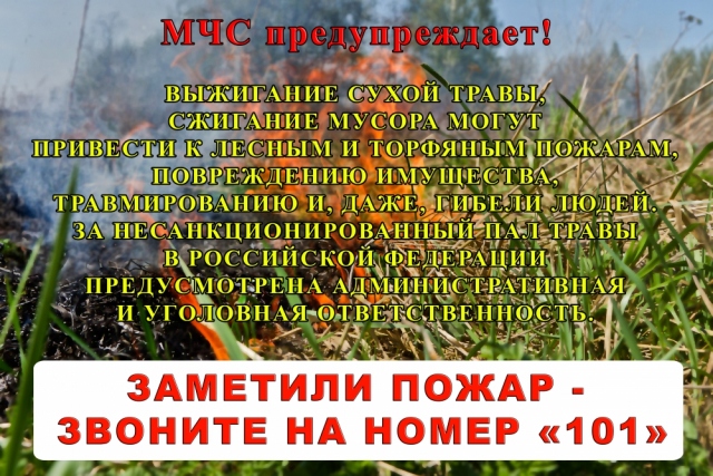 Безопасность на участке: как не допустить трагедии