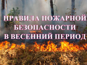 Правила пожарной безопасности в весенний период