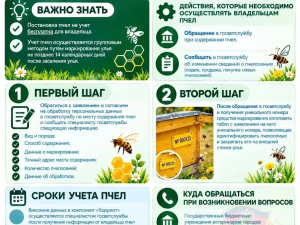 Памятки владельцам ЛПХ о постановке на учет в компонент «Хорриот»